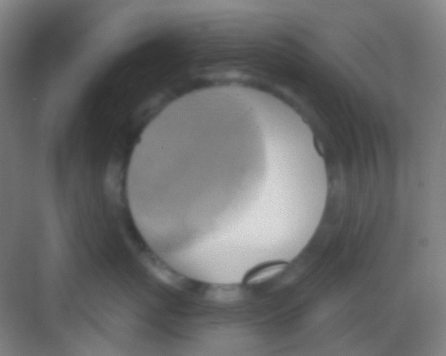 X0000081300767200702082044