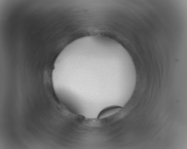 X0000081300768200702082044