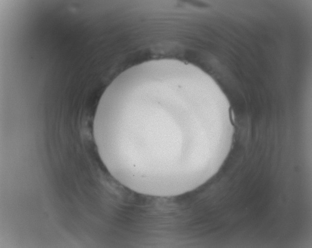 X0000081300770200702082043