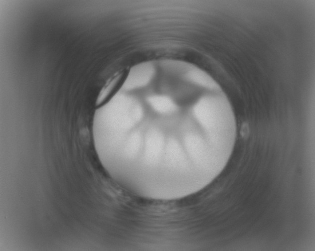 X0000081300771200702082043