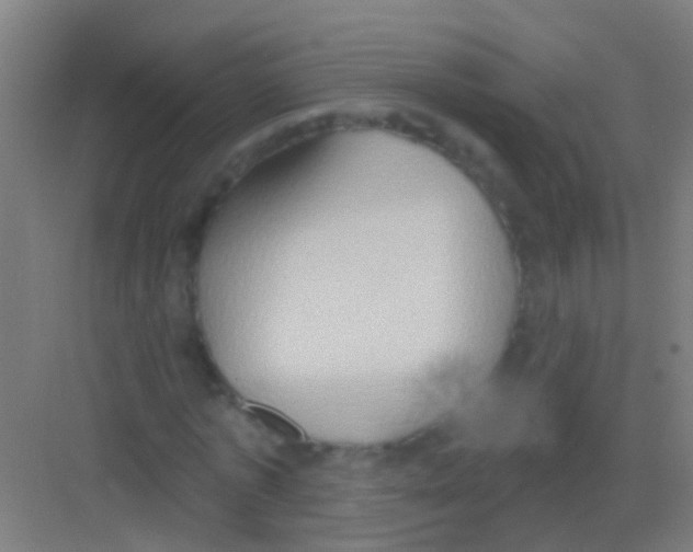 X0000081300773200702082043