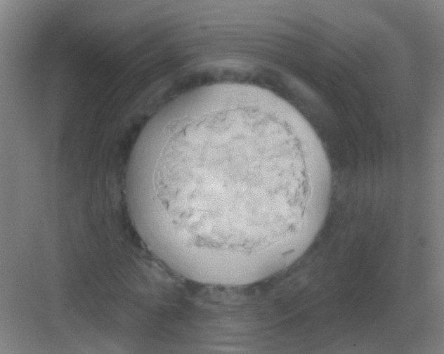 X0000081300774200702082043