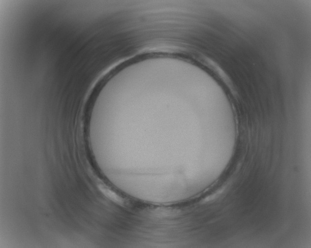 X0000081300779200702082043