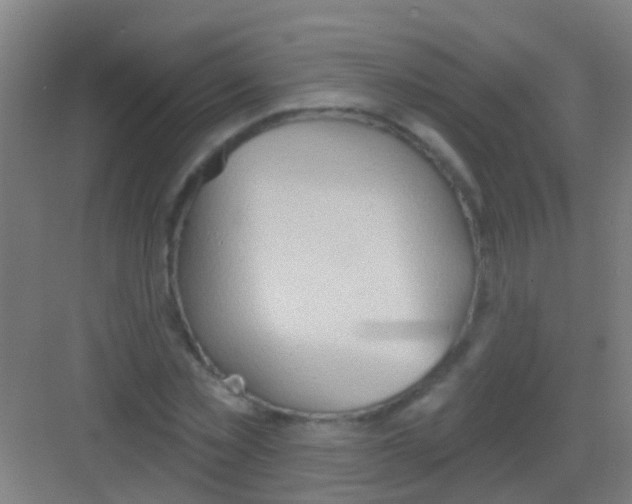 X0000081300781200702082043