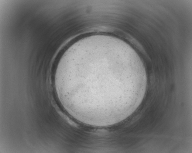 X0000081300784200702082043