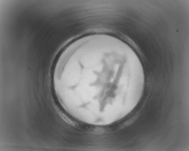 X0000081300787200702082043