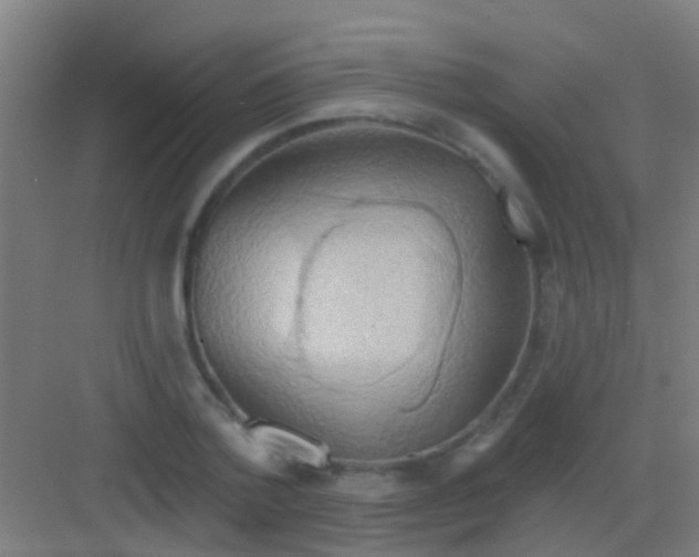 X0000081300788200702082043