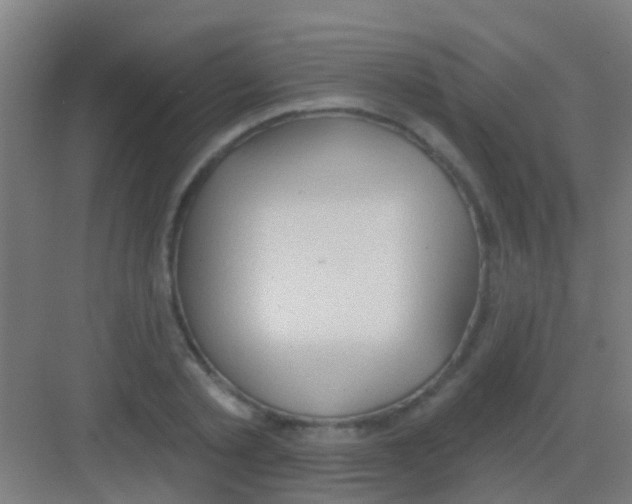 X0000081300789200702082043