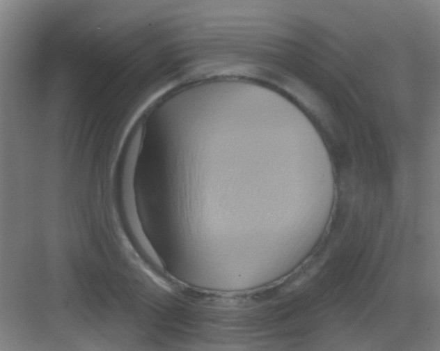 X0000081300790200702082043