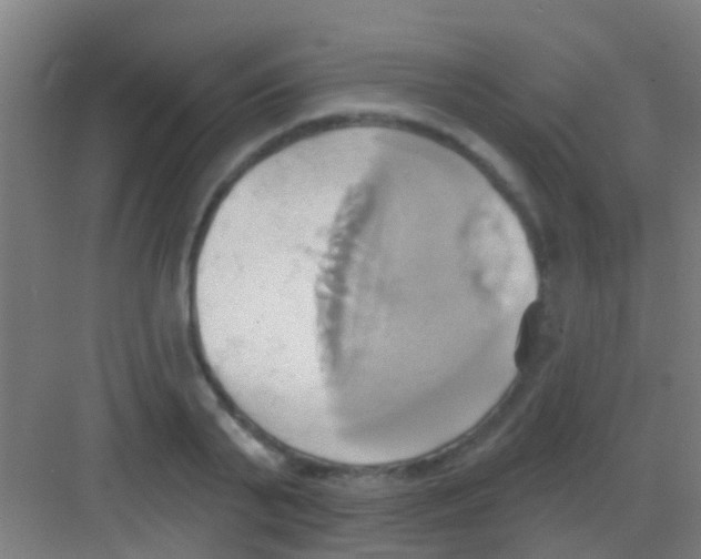 X0000081300791200702082043