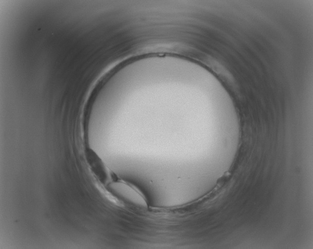 X0000081300792200702082043