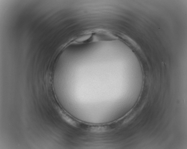 X0000081300793200702082043