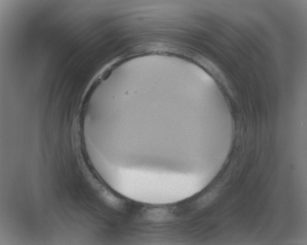 X0000081300798200702082043