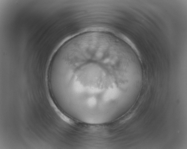 X0000081300803200702082043