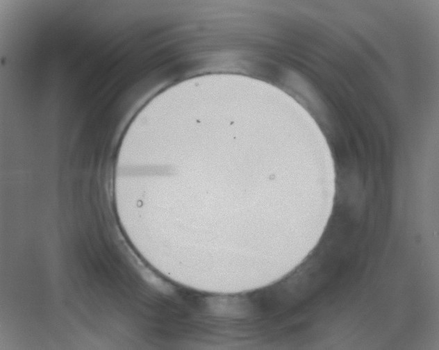 X0000081300804200702082043