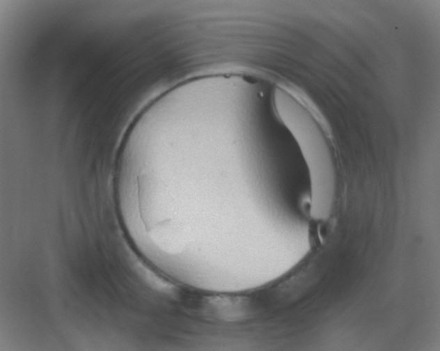 X0000081300805200702082043