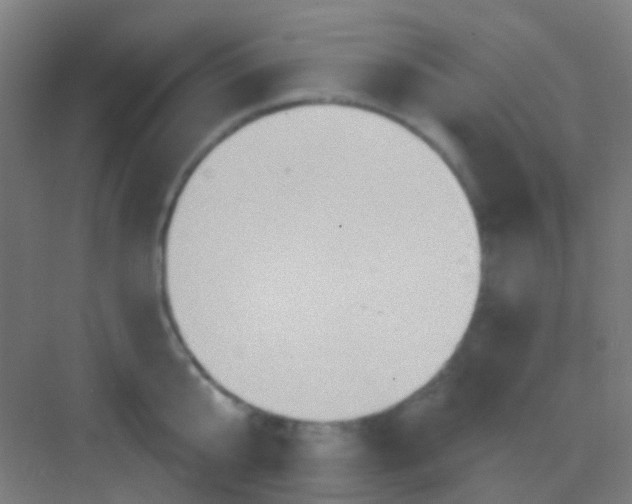 X0000081300807200702082043