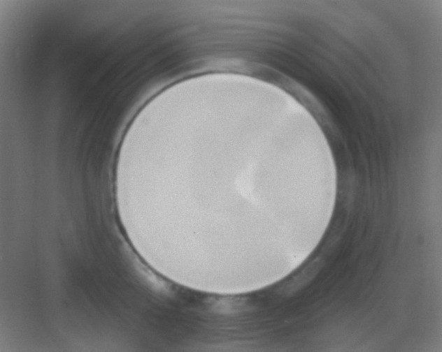 X0000081300808200702082043