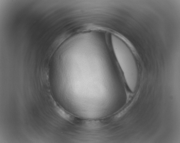 X0000081300809200702082043