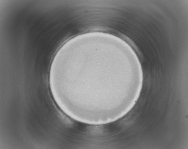 X0000081300810200702082043