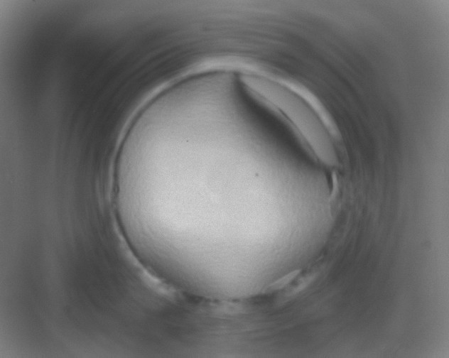 X0000081300815200702082043