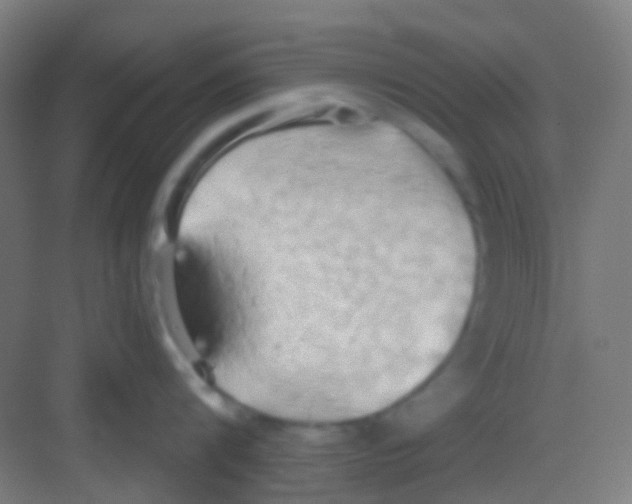 X0000081300816200702082043