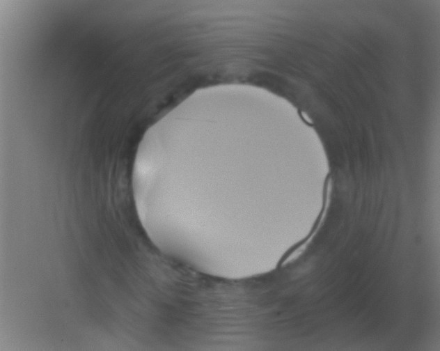 X0000081300818200702082042