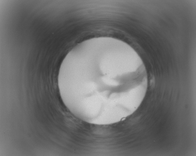 X0000081300819200702082042