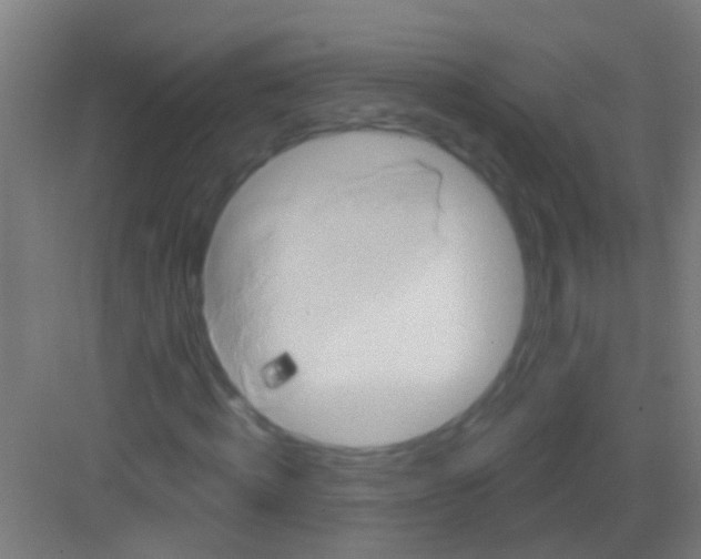 X0000081300820200702082042