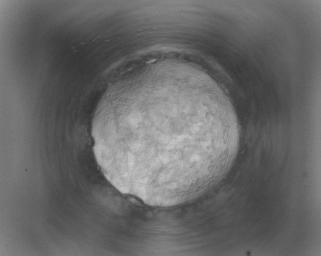 X0000081300821200702082042