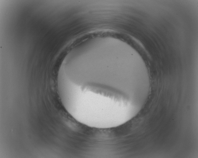 X0000081300823200702082042