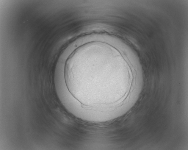 X0000081300824200702082042