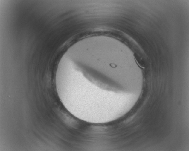 X0000081300825200702082042