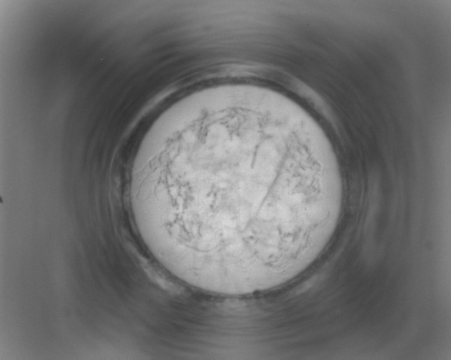 X0000081300827200702082042