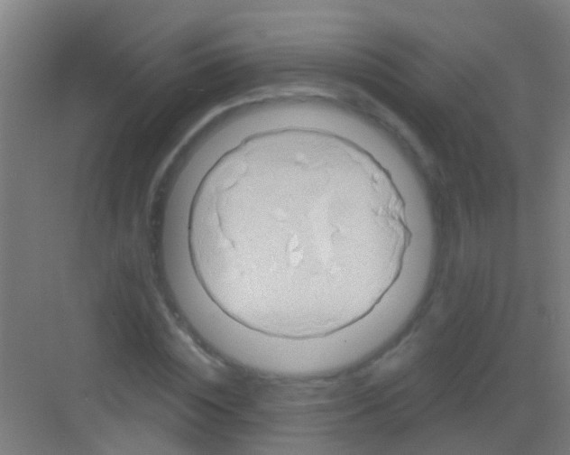 X0000081300828200702082042