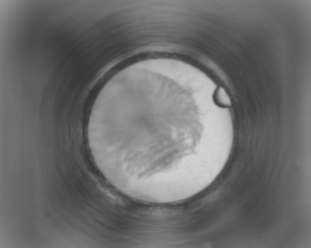 X0000081300829200702082042