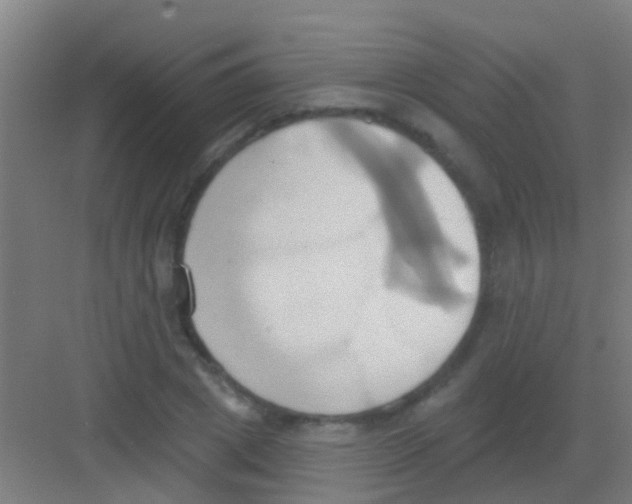 X0000081300833200702082042