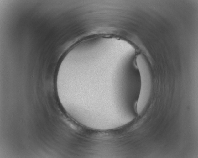 X0000081300834200702082042