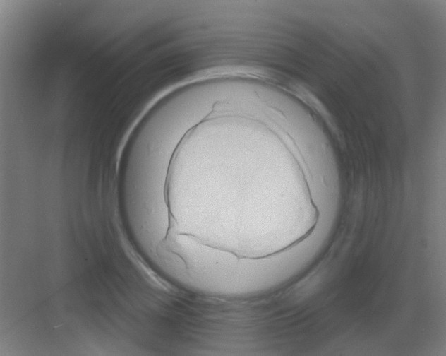 X0000081300836200702082042