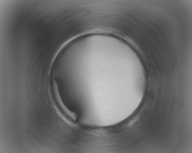 X0000081300838200702082042