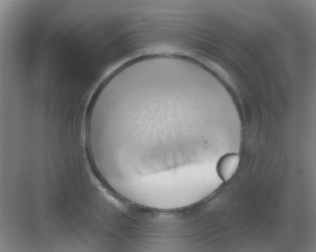 X0000081300839200702082042