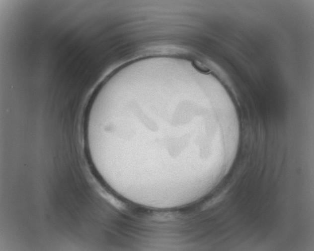 X0000081300843200702082042