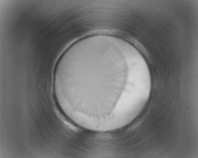 X0000081300844200702082042