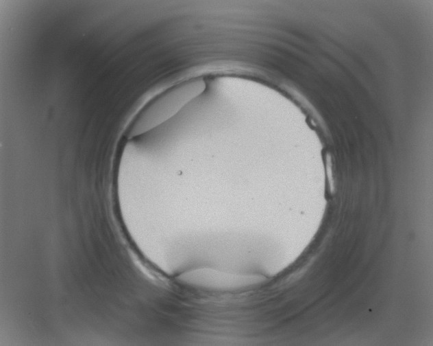 X0000081300845200702082042