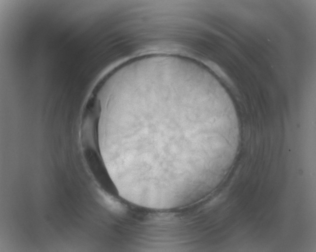 X0000081300846200702082042