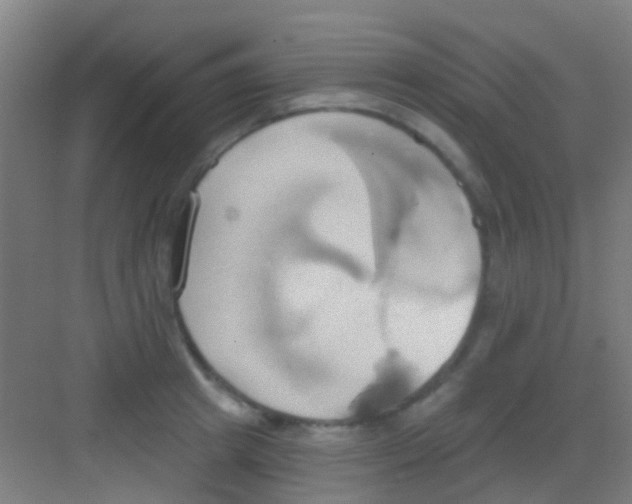 X0000081300849200702082042