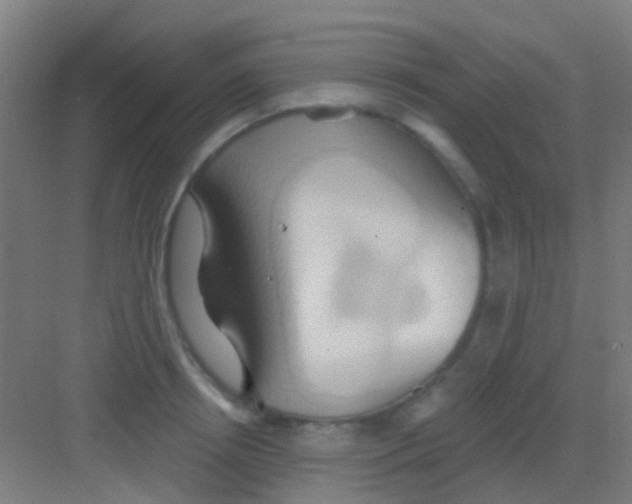 X0000081300850200702082042