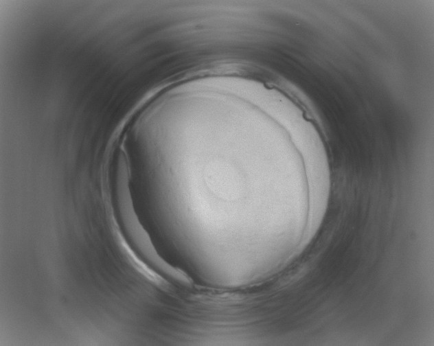 X0000081300851200702082042