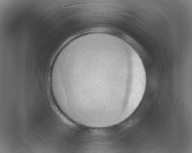 X0000081300852200702082042