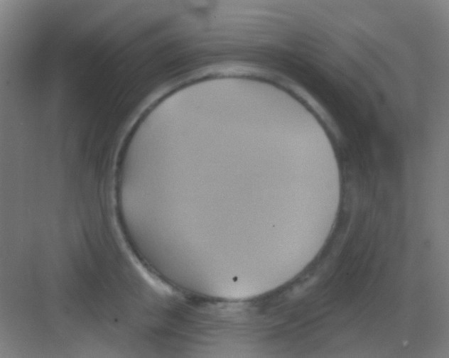 X0000081300853200702082042